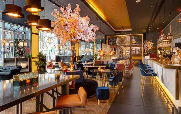 Commercial upholstered chairs and seating in a hotel bar restaurant