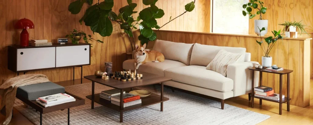 Pet friendly sofa in performance fabric for durable apartment living spaces