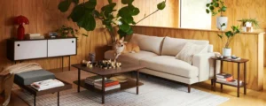 Pet friendly sofa in performance fabric for durable apartment living spaces