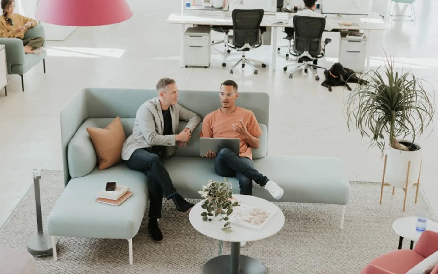 Office sofa buying guide reception and lounge area scene