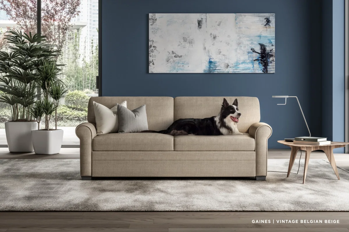 Pull-out sleeper sofa closed room scene for sourcing comparison