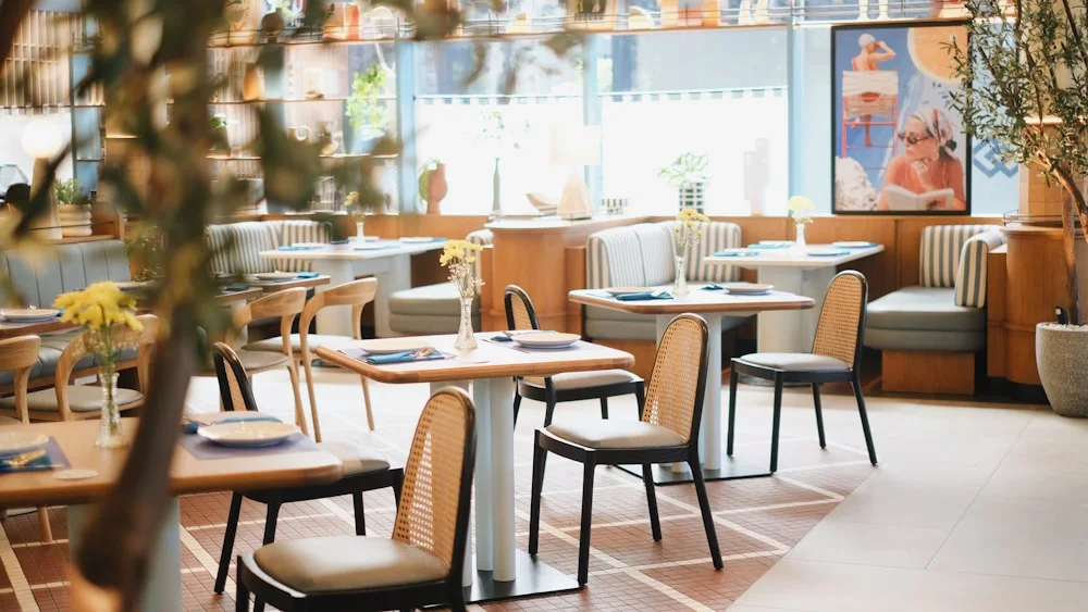 Restaurant dining chairs arranged in a commercial project